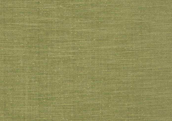 Tussah, Forest - Fabric Only - Image 3